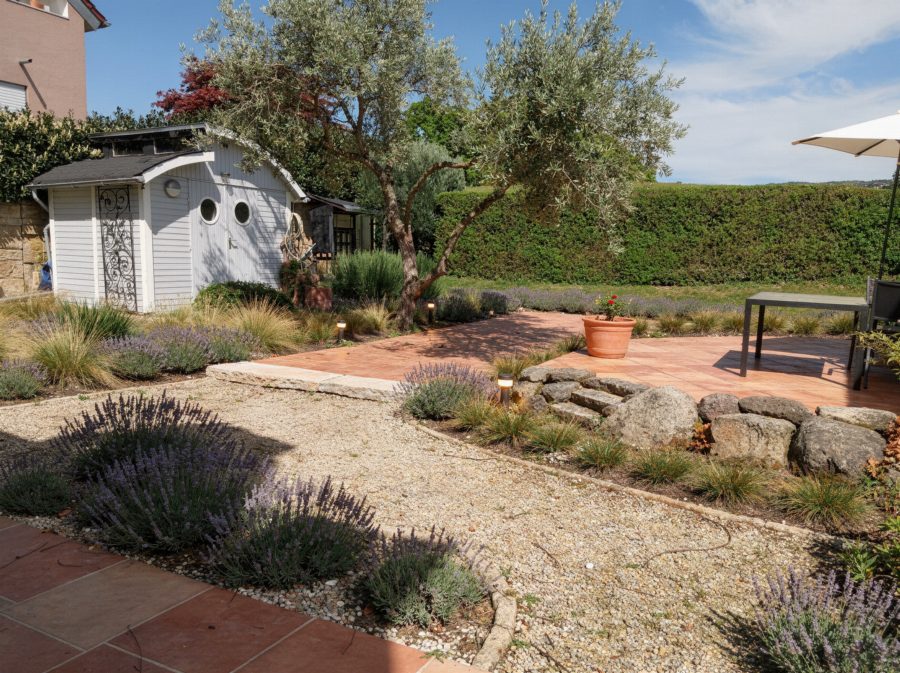Gartenstil Mediterran – Olive, Lavendel, Terracotta